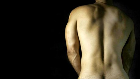 Lobo King_ top perfekte archiv