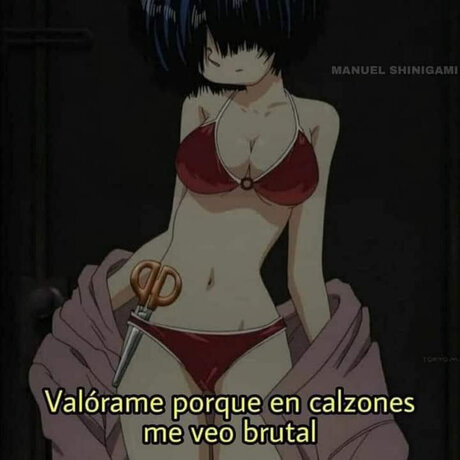 white snake with red eyes erwachsene archiv