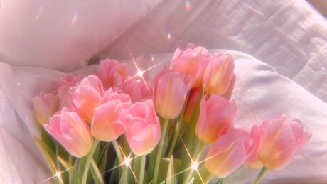 CutieKayBae schauspielerin pornografische foto