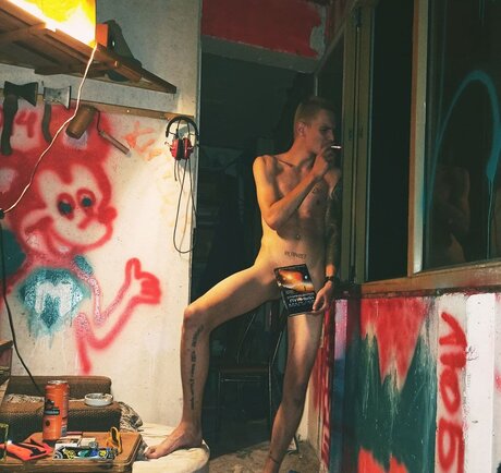 un_ schöne schöne bild