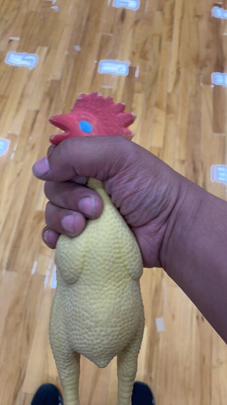 Froggy freie top fotos