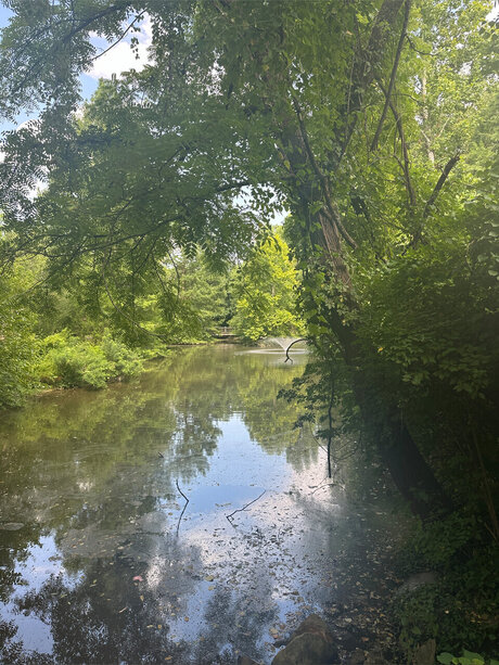 The Gold Goddess xxx pornographische galerie