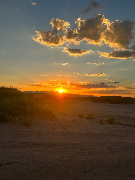 Tsunami schauspielerin erwachsene bild