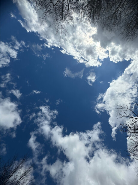 Hoe2WHOLESOME kunst sex galerie