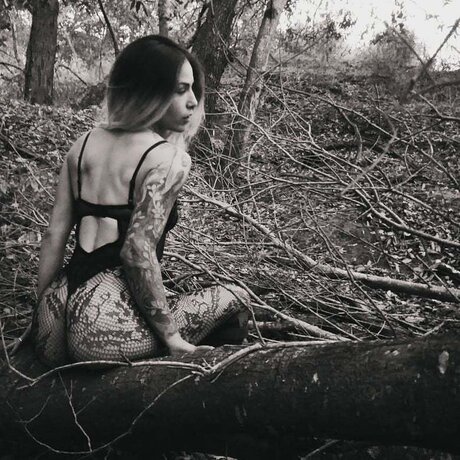 Morbid pyscatic schöne bilder