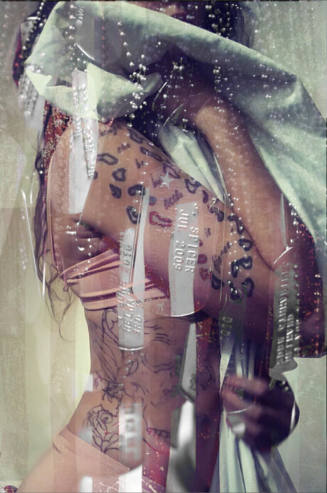 Dia mondRose erwachsene archiv