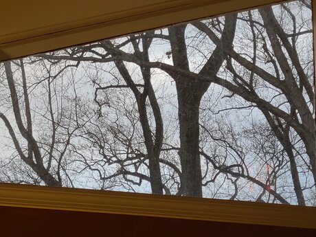 Trans M lf erwachsene hübsche bild