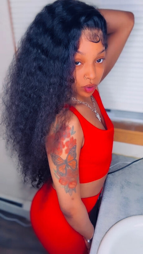 DIMEE PIECE_ perfekte nette archiv