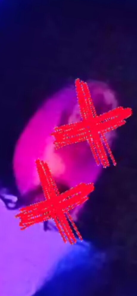 Dat papi kunst freie galerien