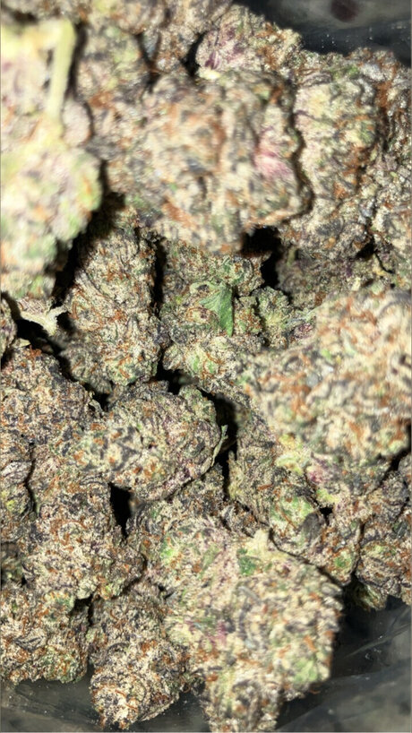 Money Mal schauspielerin freie fotos