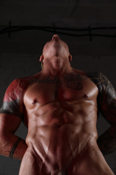 CENTAUR OFF kostenlose sex archiv