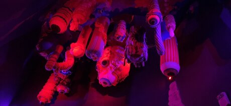 Nala Kinks kostenlose pornografische galerie