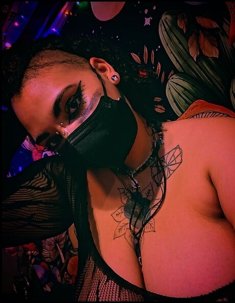 M Dussa perfekte hübsche galerie