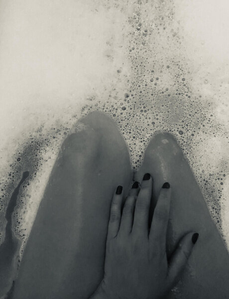 Aramisse freie fotos