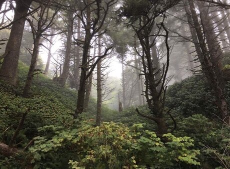 maddi atterton beste akt galerien