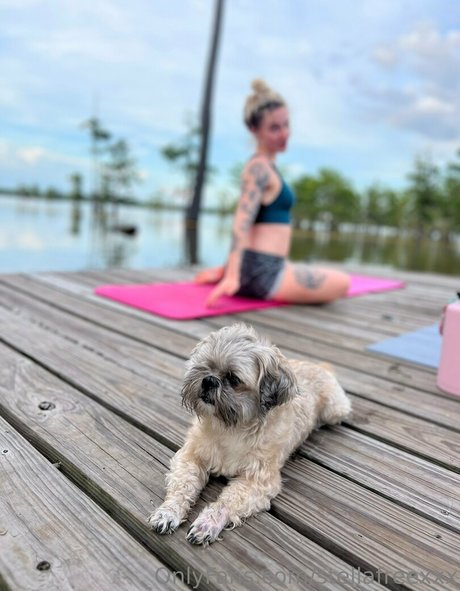 stellafreexxx perfekte hübsche foto