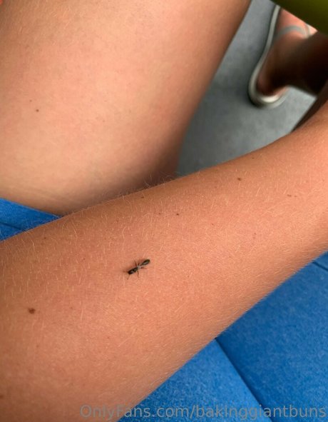 bakinggiantbuns nette pornostar foto