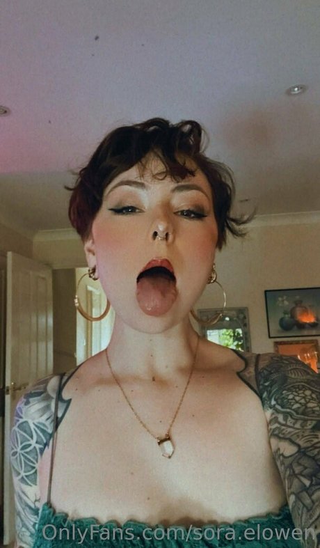 sora elowen erwachsene pornostar archiv