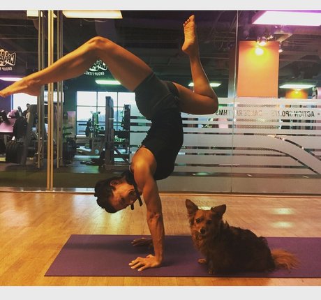 cuckolcouple onlyfans porno bild