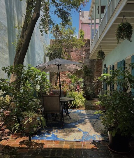 bbw trans onlyfans exklusive nackt fotos