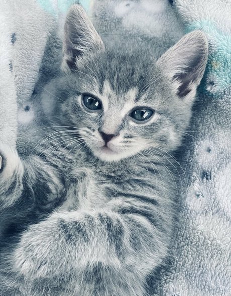 xxxhookedonbrookefree erotische top foto