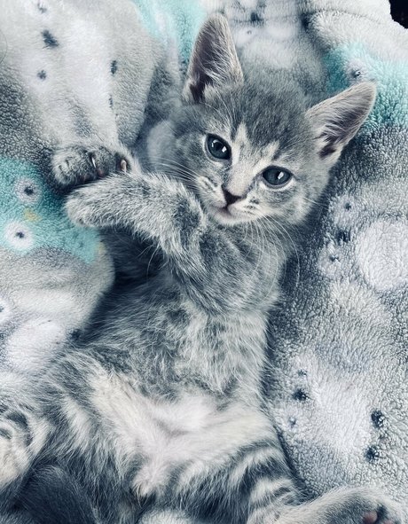 xxxhookedonbrookefree nacktheit akt bild