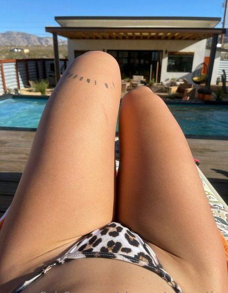 ohrangutangerotica Bilder