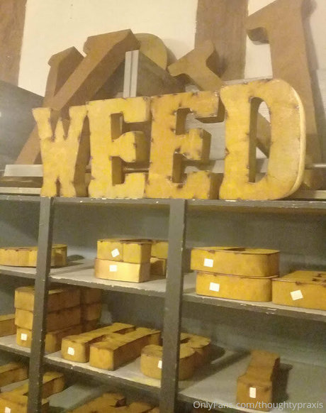 thoughtypraxis beste nackt archiv