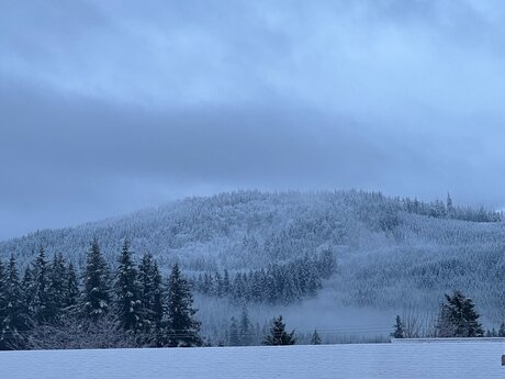 Elchapoleen model porno foto