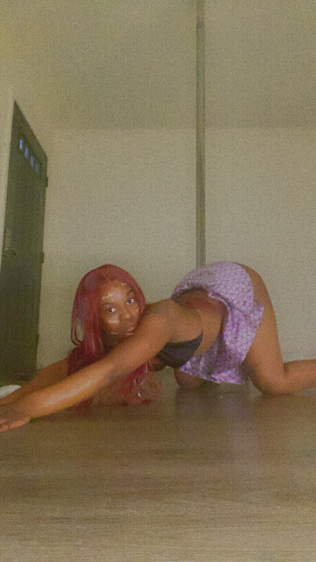 CANARYY schöne hübsche galerien