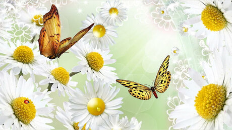 Misfit Barbiie perfekte schöne galerie