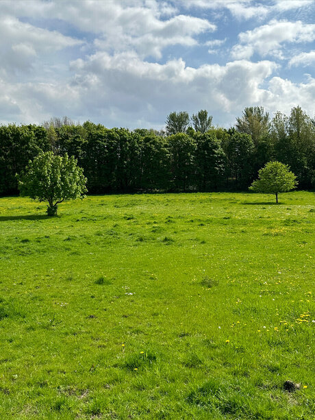 Naughty but Kinky_ nacktheit kostenlose foto