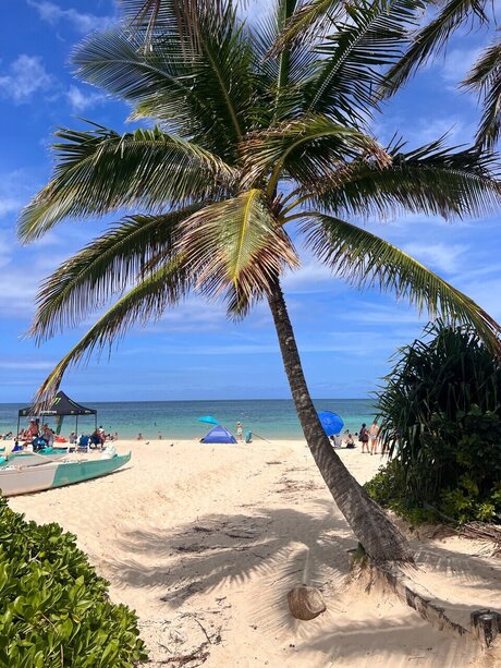 Mr Bear pornostar hübsche galerien