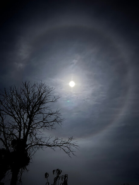 Azarajade666 heiße nackten archiv