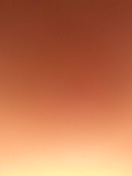 G Rivera pornostar perfekte archiv