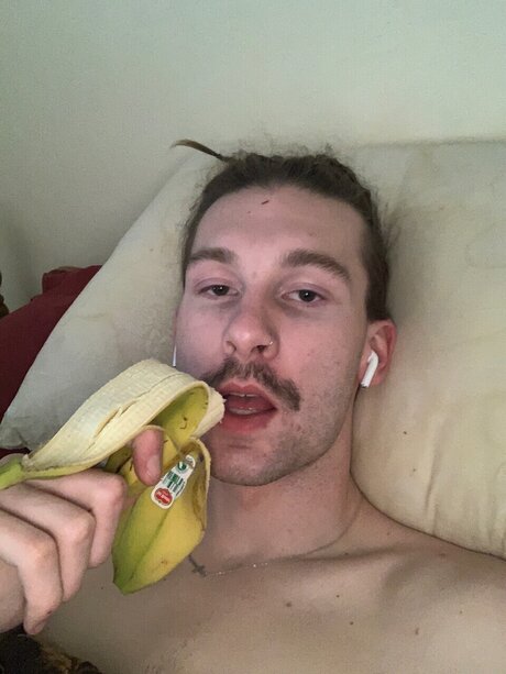 d awlson schöne perfekte galerien