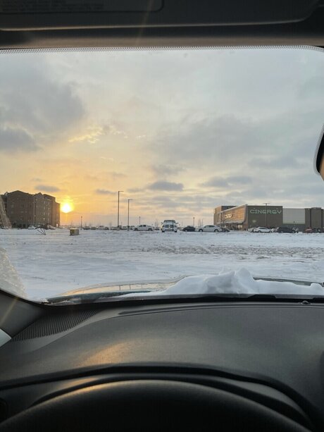 d awlson erwachsene hd galerien