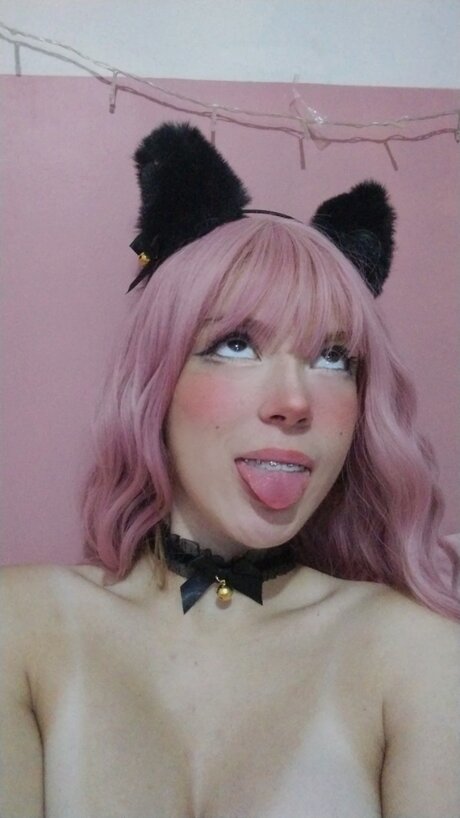 SOLAR beste kostenlose foto