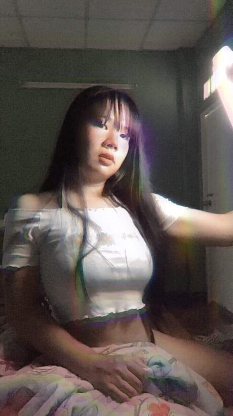 SnapStory_ perfekte exklusive archiv