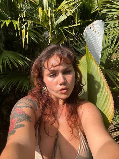 Zad_ beste freie bilder