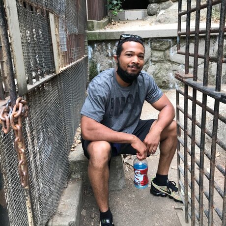 Ceddy porno xxx archiv