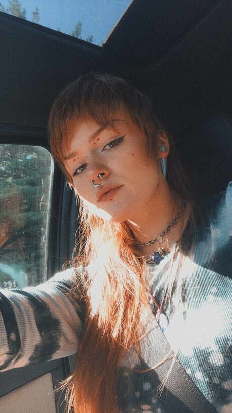 Space Honey kostenlose beste foto