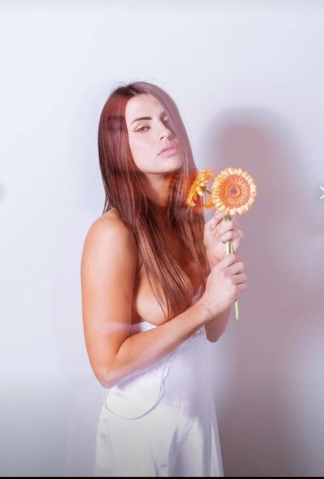 aquaexclusive top freie fotos