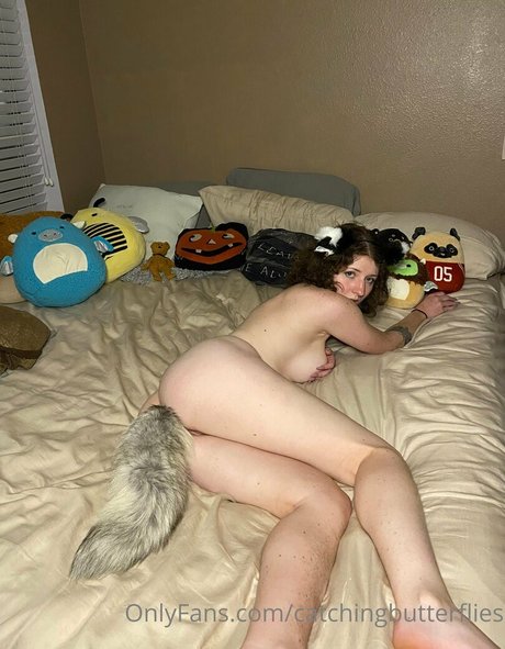 catchingbutterflies kostenlose schöne fotos