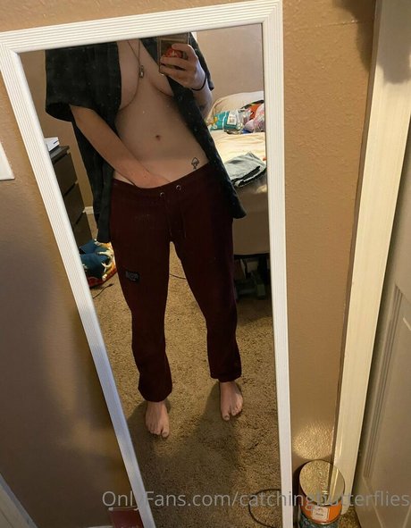 catchingbutterflies hd freie bilder