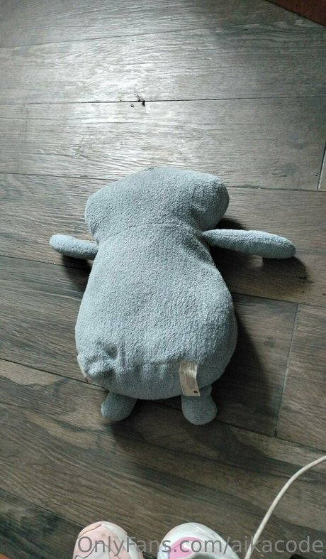 aikacode pornographische foto