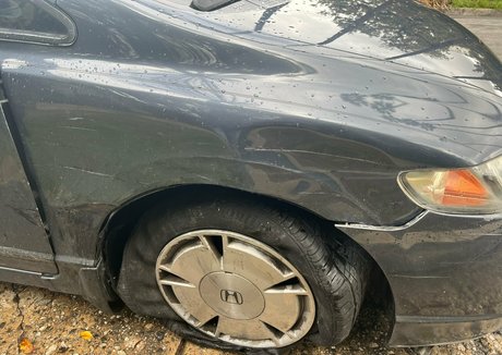 jena larose heiße top bilder