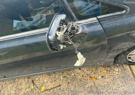 jena larose exklusive porno galerie