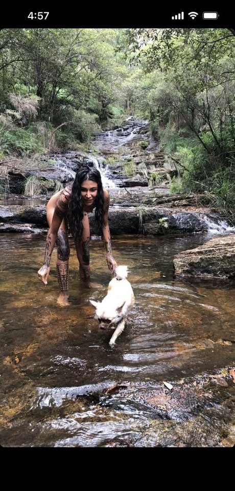 Thefreeelf perfekte freie bild