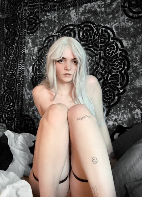 father42o perfekte hd galerien